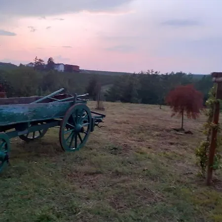 Graziosa Cascina Con Terreno Nel Verde Intera Casa A San Giacomo Di Rocca Grimalda 15078 Al Casa vacanze *