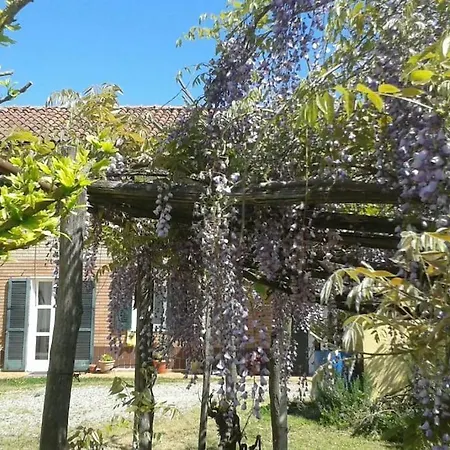Graziosa Cascina Con Terreno Nel Verde Intera Casa A San Giacomo Di Rocca Grimalda 15078 Al *