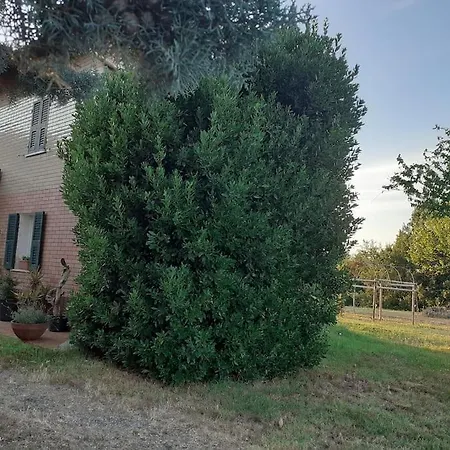 Σπίτι διακοπών Graziosa Cascina Con Terreno Nel Verde Intera Casa A San Giacomo Di Rocca Grimalda 15078 Al