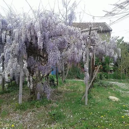 Graziosa Cascina Con Terreno Nel Verde Intera Casa A San Giacomo Di Rocca Grimalda 15078 Al Casa vacanze Silvano dʼOrba