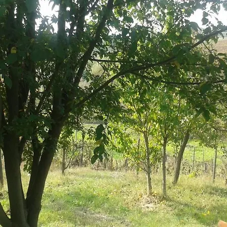 Casa vacanze Graziosa Cascina Con Terreno Nel Verde Intera Casa A San Giacomo Di Rocca Grimalda 15078 Al Silvano dʼOrba