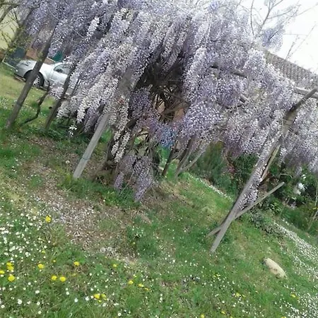 Graziosa Cascina Con Terreno Nel Verde Intera Casa A San Giacomo Di Rocca Grimalda 15078 Al * Silvano dʼOrba