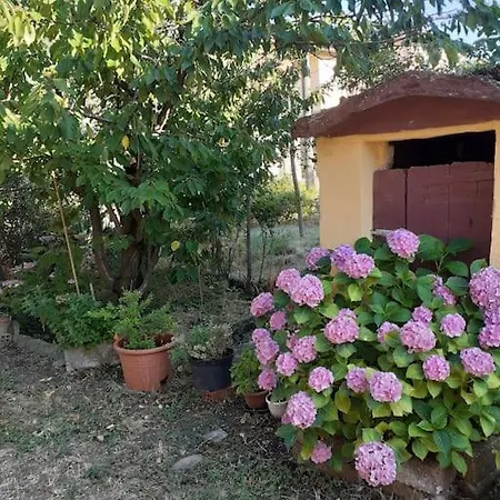 Graziosa Cascina Con Terreno Nel Verde Intera Casa A San Giacomo Di Rocca Grimalda 15078 Al Casa vacanze *